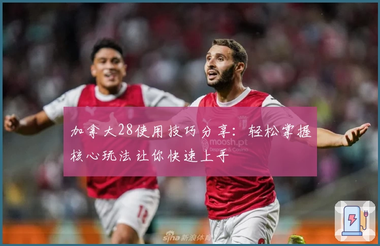 加拿大28使用技巧分享：轻松掌握核心玩法让你快速上手