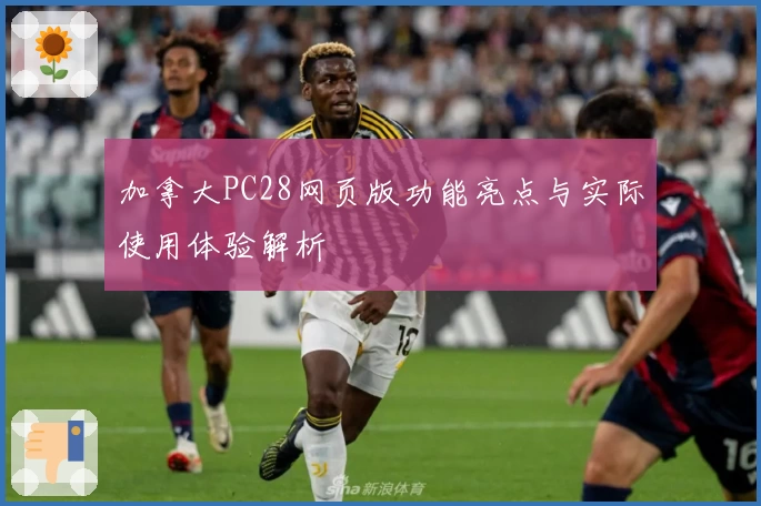 加拿大PC28网页版功能亮点与实际使用体验解析