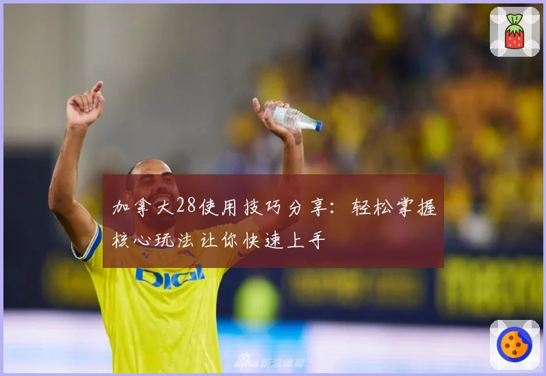加拿大28使用技巧分享：轻松掌握核心玩法让你快速上手