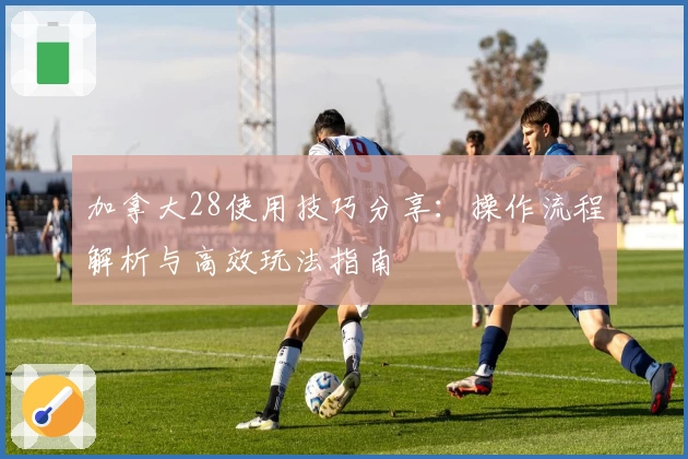 加拿大28使用技巧分享：操作流程解析与高效玩法指南