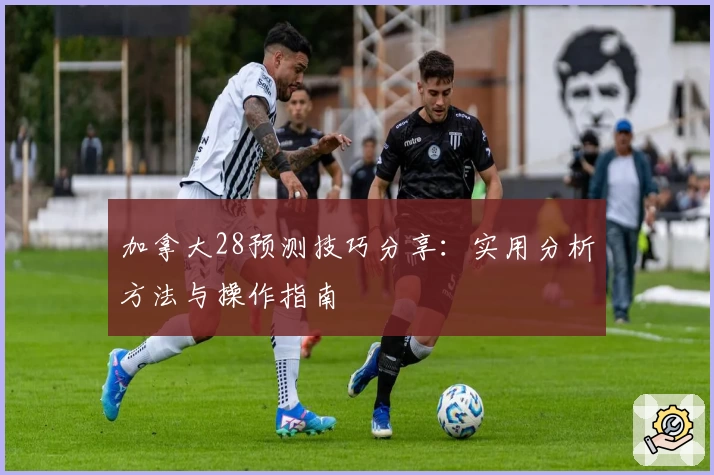 加拿大28预测技巧分享:实用分析方法与操作指南