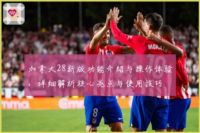 加拿大28新版功能介绍与操作体验，详细解析核心亮点与使用技巧