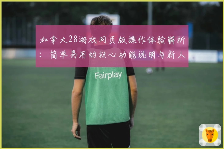 加拿大28游戏网页版操作体验解析：简单易用的核心功能说明与新人指南
