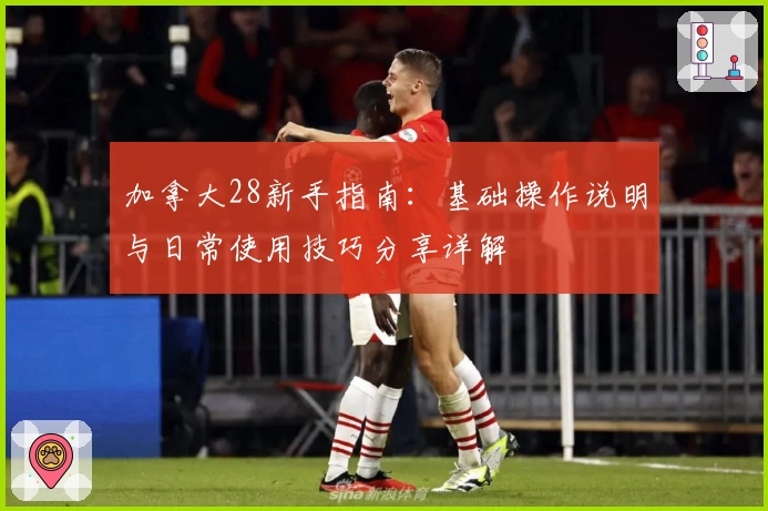 加拿大28新手指南：基础操作说明与日常使用技巧分享详解