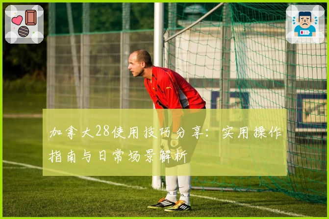 加拿大28使用技巧分享：实用操作指南与日常场景解析