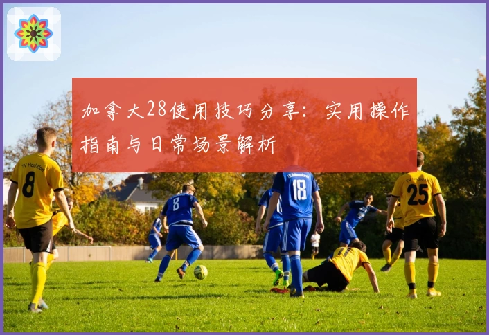 加拿大28使用技巧分享：实用操作指南与日常场景解析