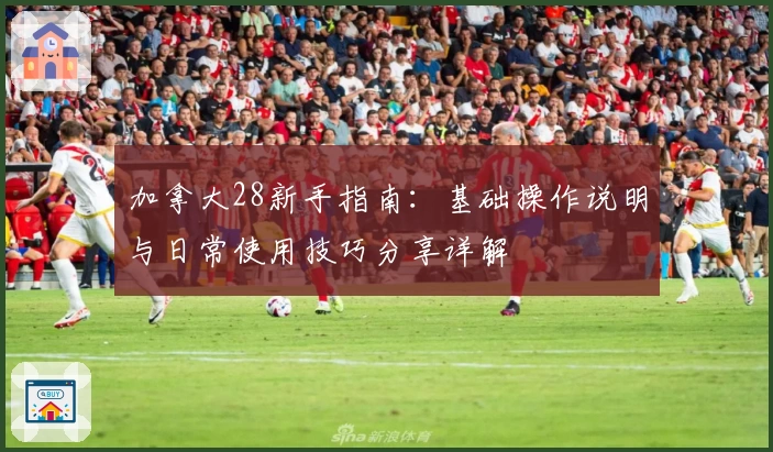 加拿大28新手指南：基础操作说明与日常使用技巧分享详解