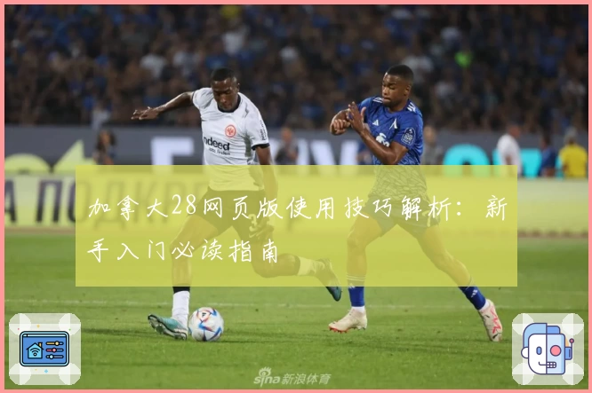 加拿大28网页版使用技巧解析：新手入门必读指南