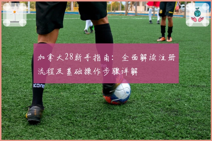 加拿大28新手指南：全面解读注册流程及基础操作步骤详解