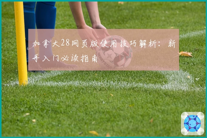 加拿大28网页版使用技巧解析：新手入门必读指南