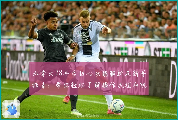 加拿大28平台核心功能解析及新手指南，带你轻松了解操作流程和玩法特点